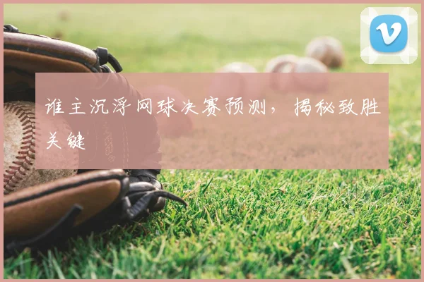 谁主沉浮网球决赛预测，揭秘致胜关键